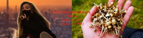 дурь Балахна