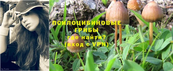 дмт Баксан