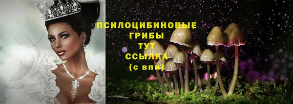 дмт Баксан