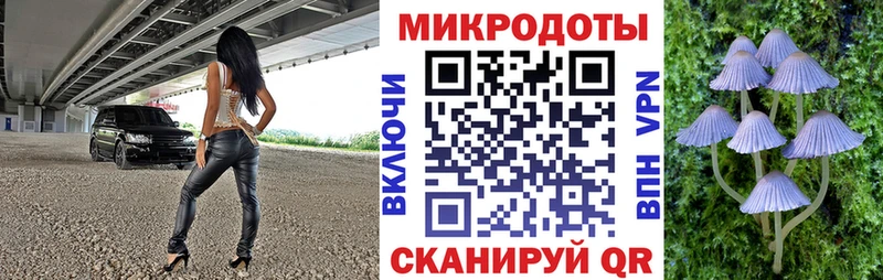 Галлюциногенные грибы Psilocybe  Белая Холуница 